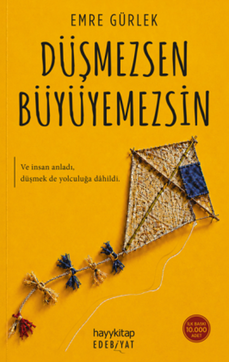 Düşmezsen Büyüyemezsin kitap kapağı