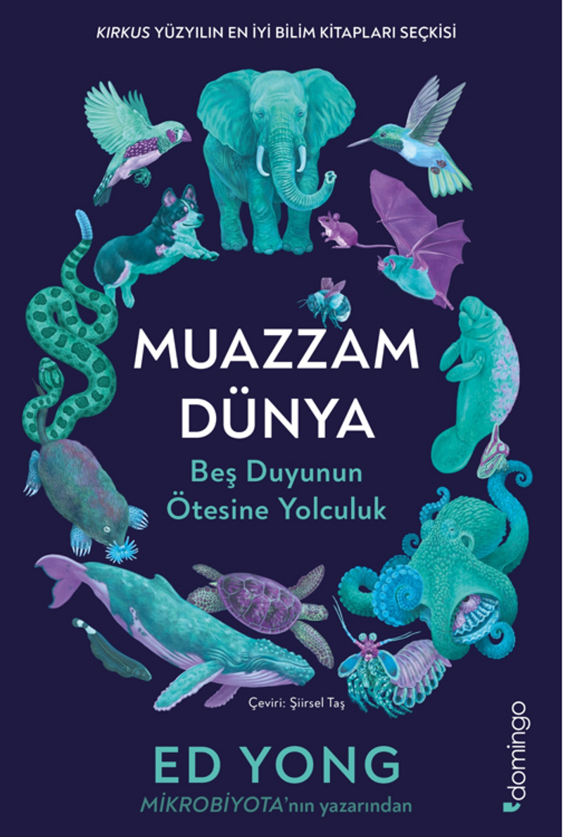 Muazzam Dünya: Beş Duyunun Ötesine Yolculuk kitap kapağı