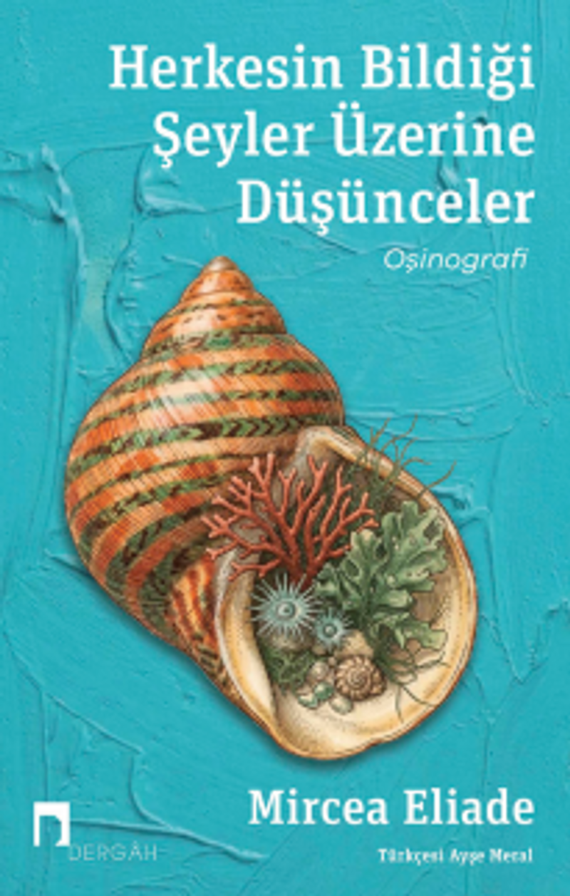Herkesin Bildiği Şeyler Üzerine Düşünceler kitap kapağı