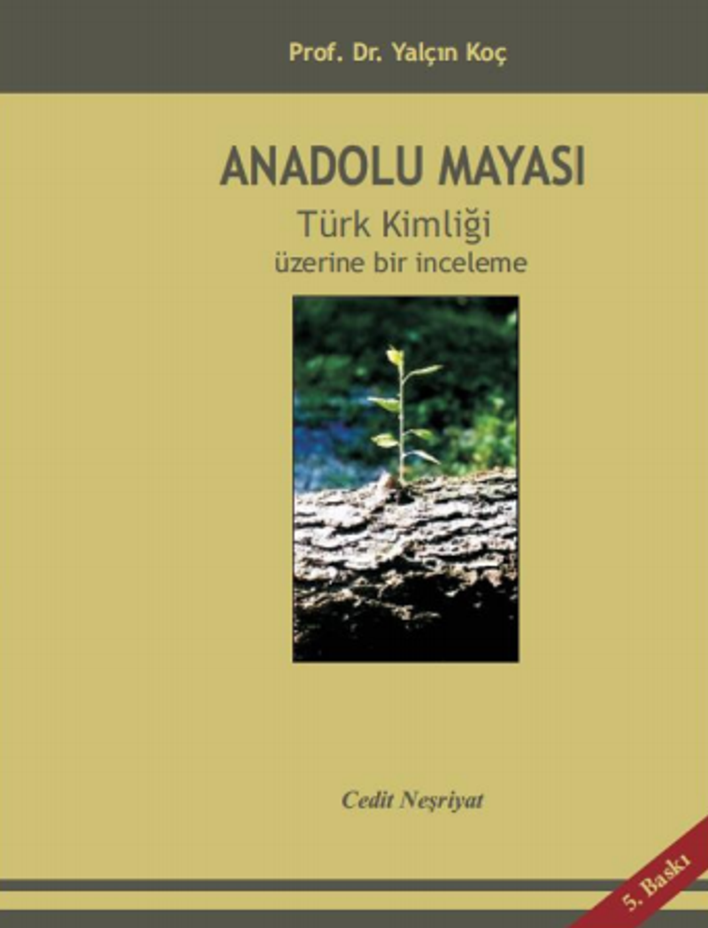 Anadolu Mayası kitap kapağı