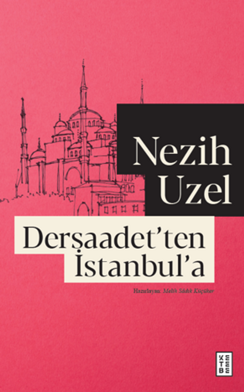 Dersaadet'ten İstanbul'a kitap kapağı