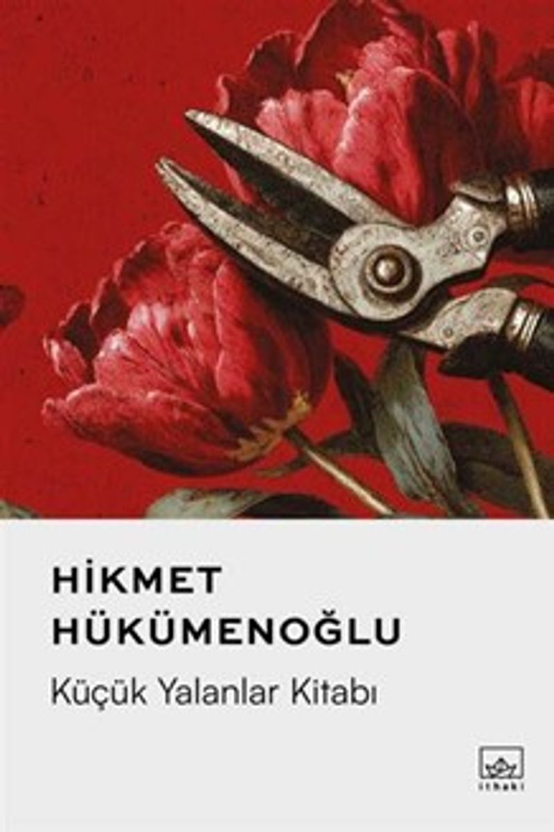 Küçük Yalanlar Kitabı kitap kapağı