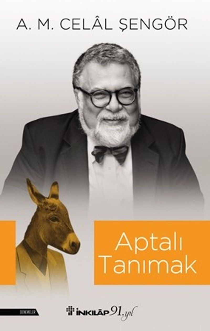 Aptalı Tanımak kitap kapağı