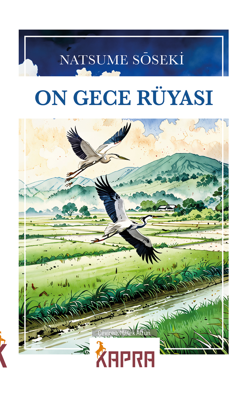 On Gece Rüyası kitap kapağı