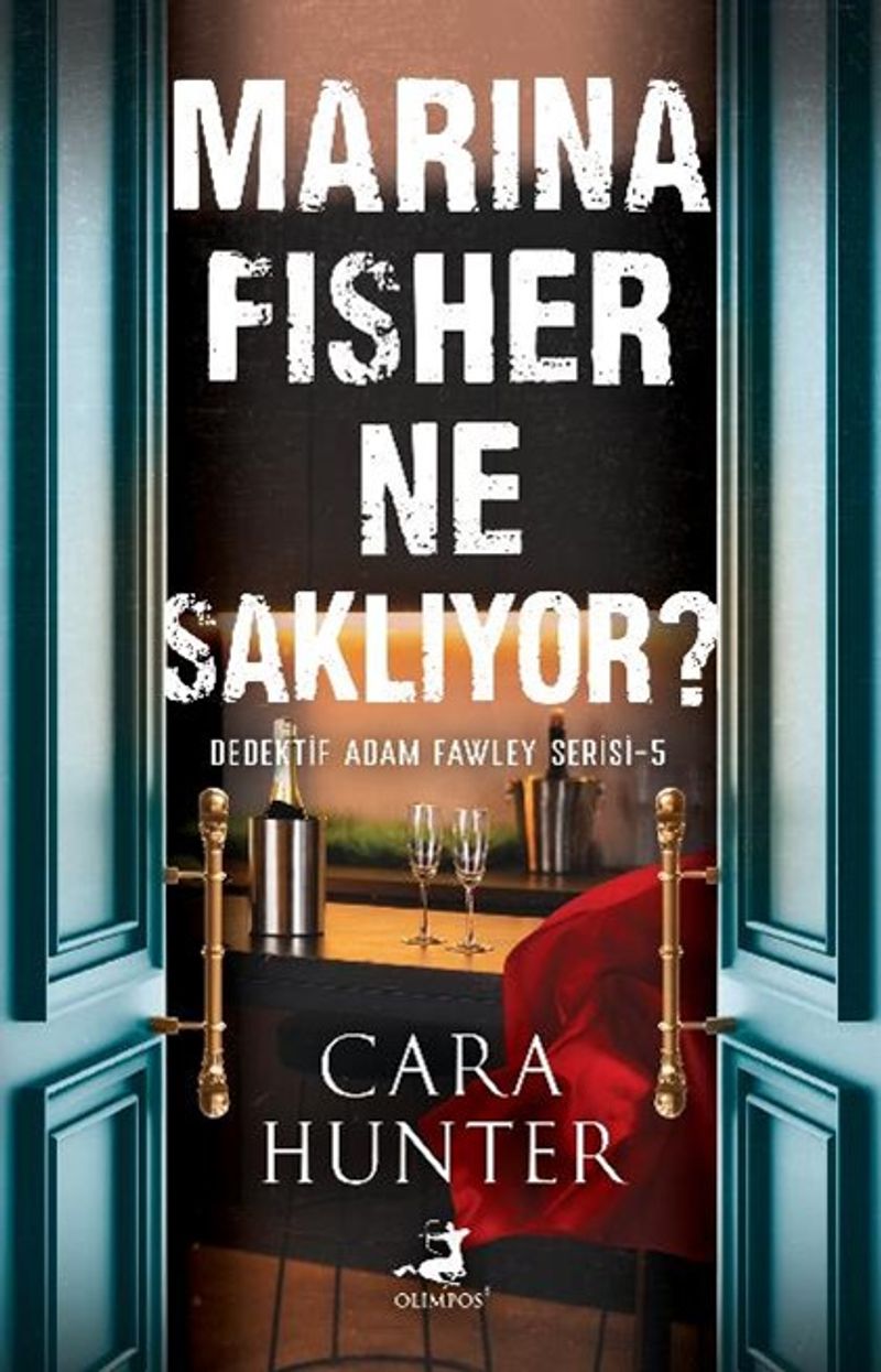 Marina Fisher Ne Saklıyor ? kitap kapağı