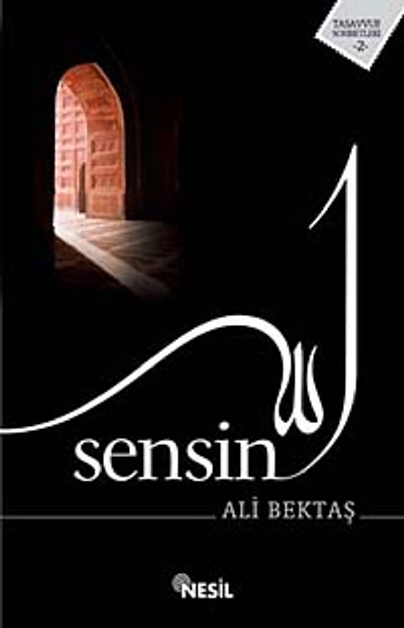 Sensin kitap kapağı