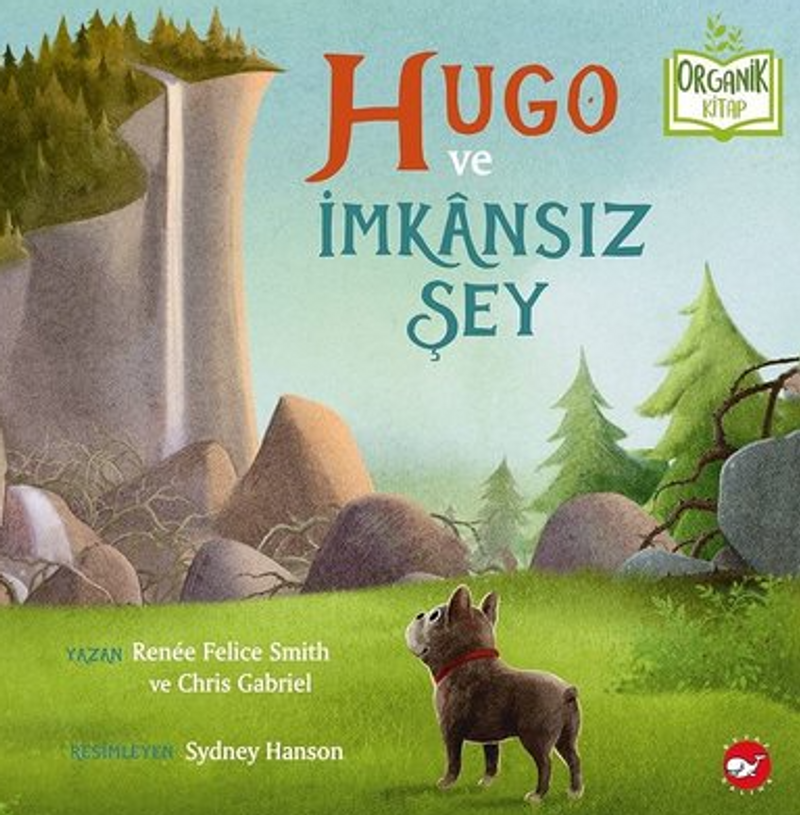Hugo ve İmkansız Şey kitap kapağı