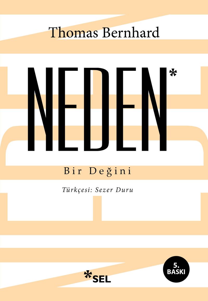 Neden Bir Değini kitap kapağı