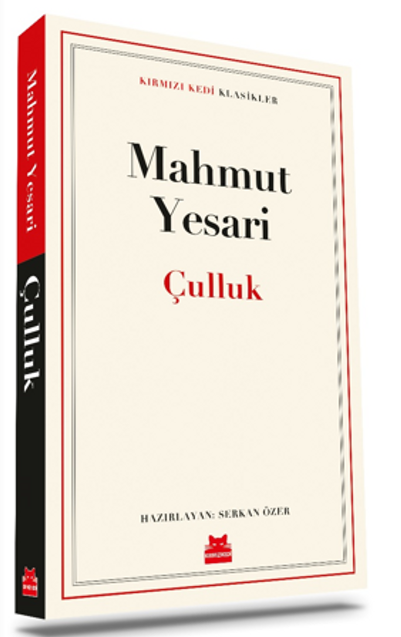 Çulluk kitap kapağı