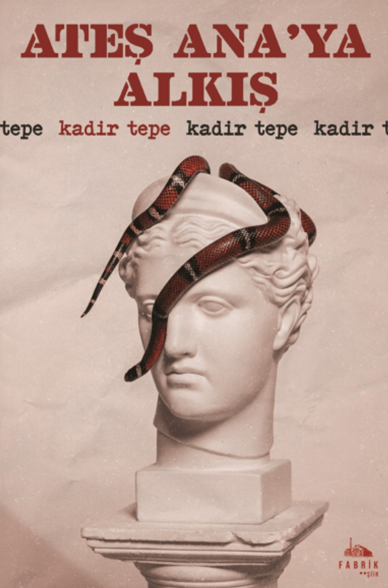 Ateş Ana'ya Alkış kitap kapağı