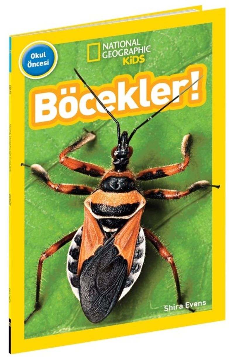 National Geographic Kids / Böcekler! kitap kapağı