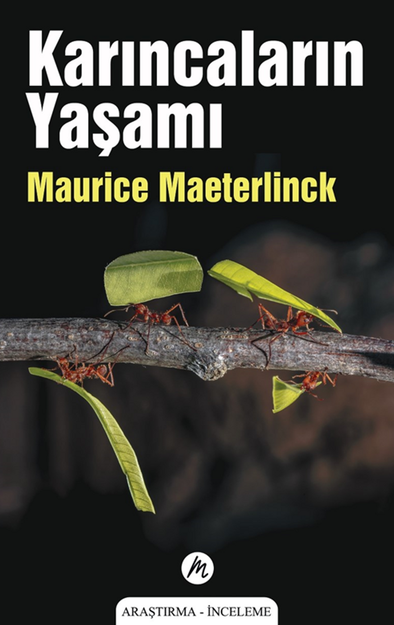 Karıncaların Yaşamı kitap kapağı
