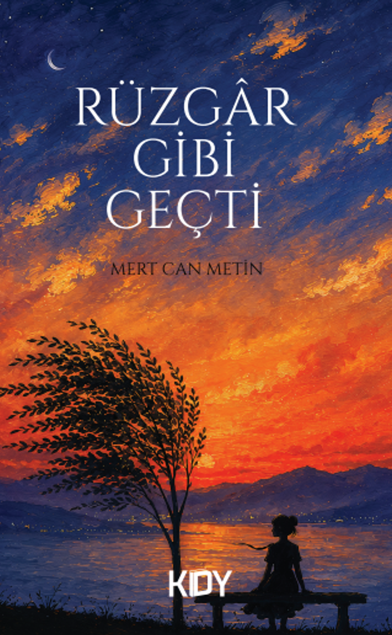 Rüzgar Gibi Geçti kitap kapağı