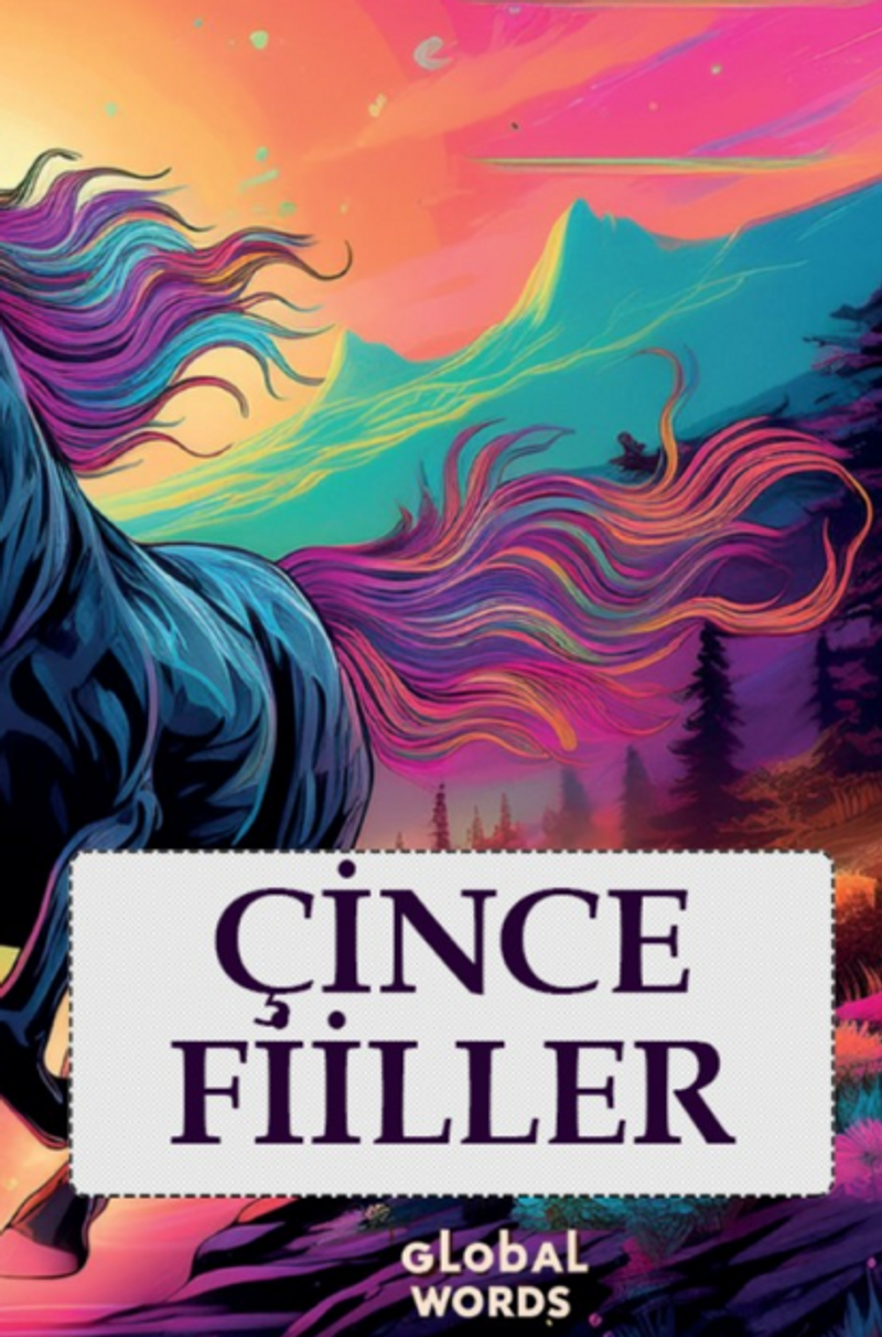 Çince Fiiller kitap kapağı