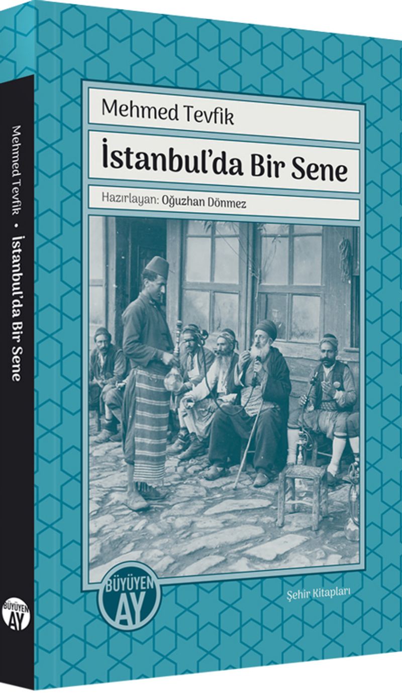 İstanbul'da Bir Sene kitap kapağı