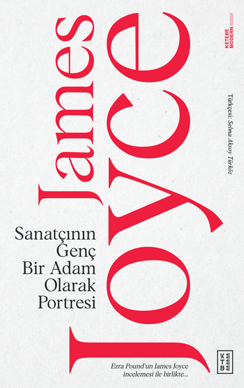 Sanatçının Genç Bir Adam Olarak Portresi kitap kapağı