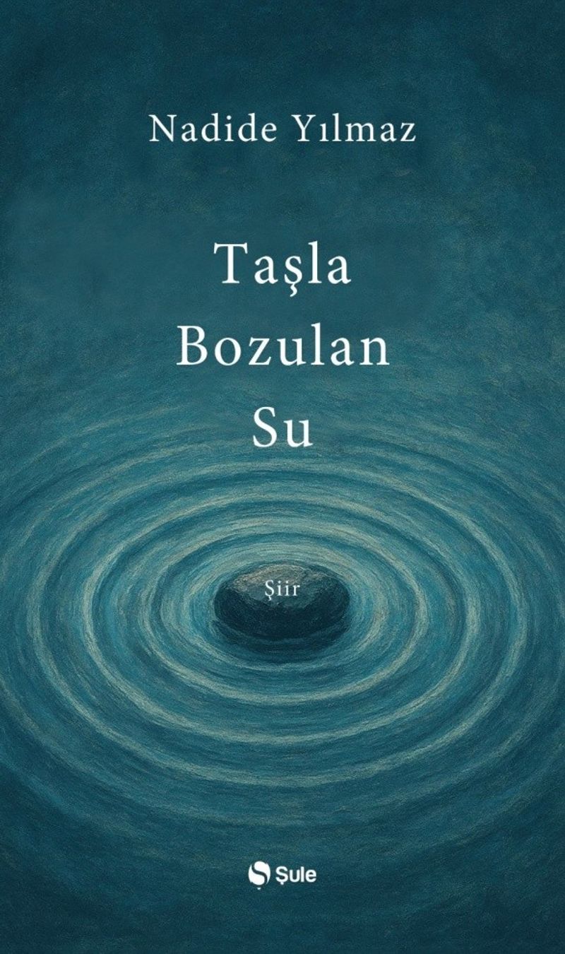 Taşla Bozulan Su kitap kapağı
