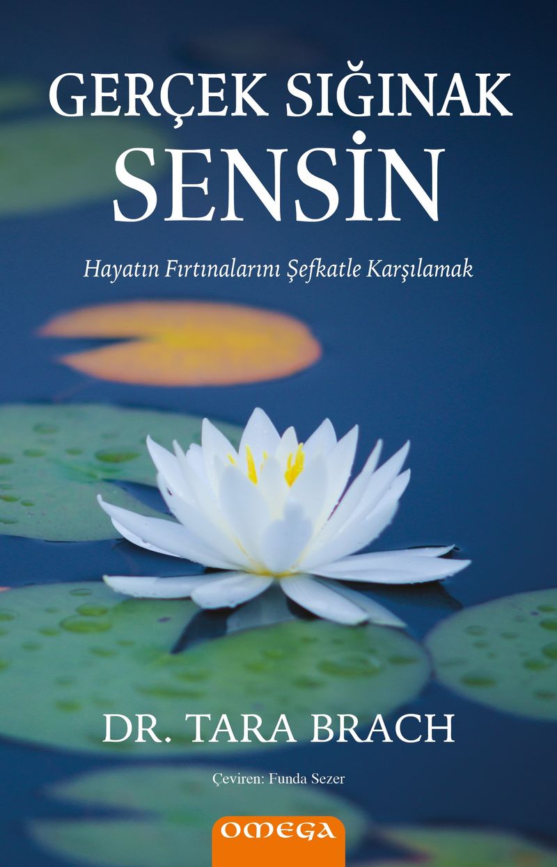 Gerçek Sığınak Sensin Hayatın Fırtınalarını Şefkatle Karşılamak kitap kapağı