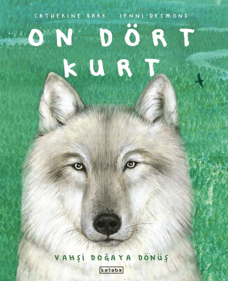 On Dört Kurt kitap kapağı