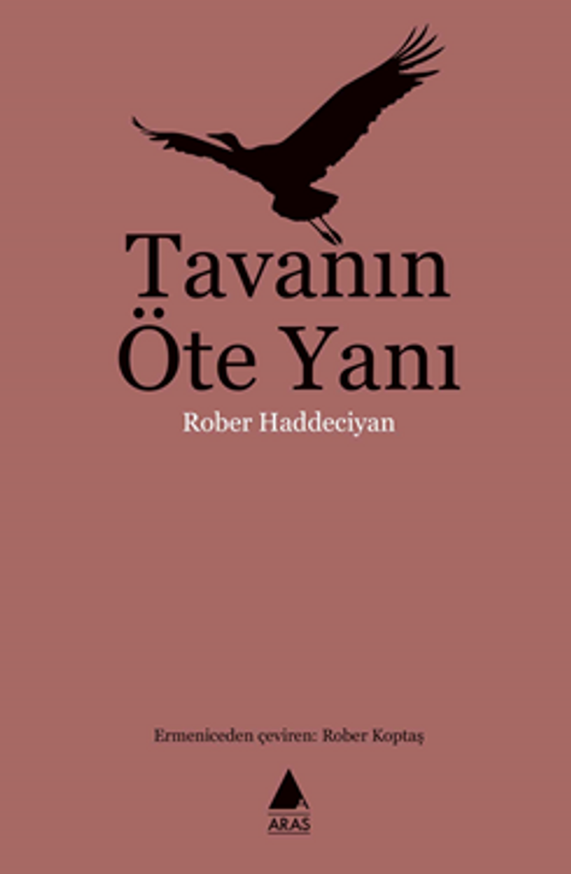 Tavanın Öte Yanı kitap kapağı