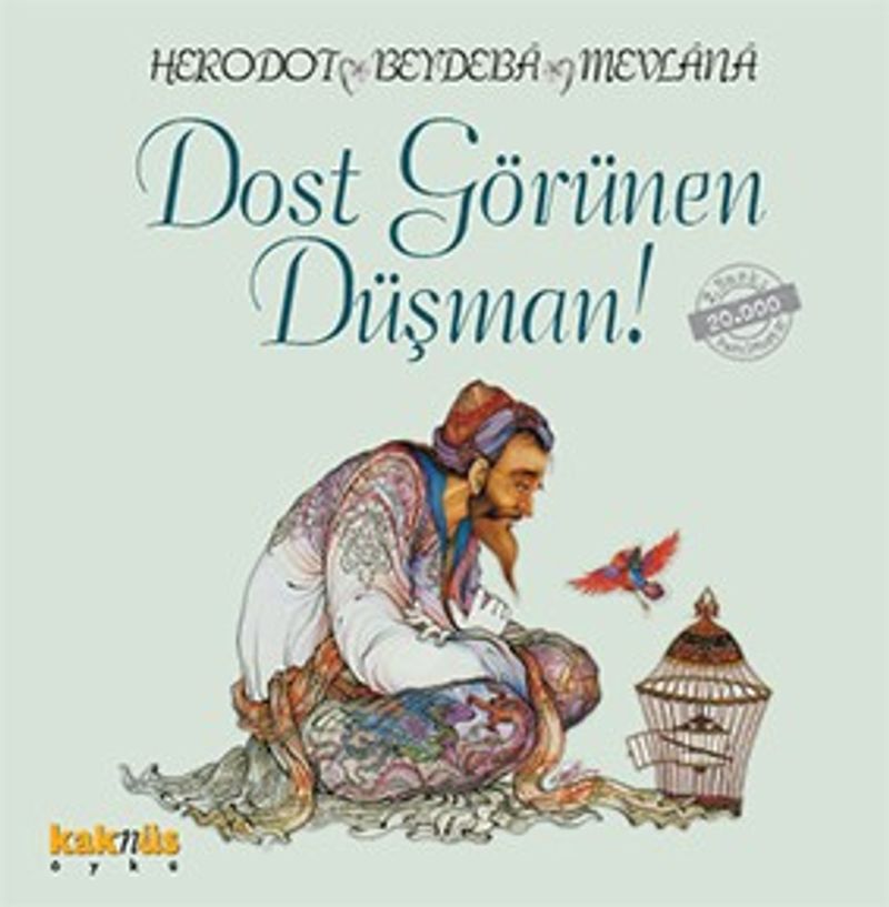 Dost Görünen Düşman kitap kapağı