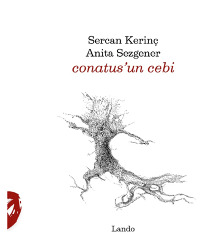Conatus'un Cebi kitap kapağı