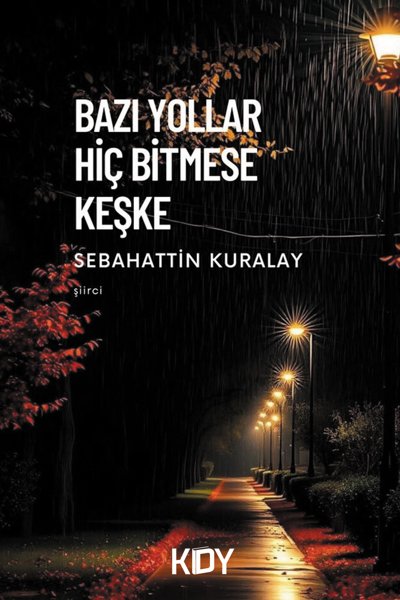 Bazı Yollar Hiç Bitmese Keşke kitap kapağı