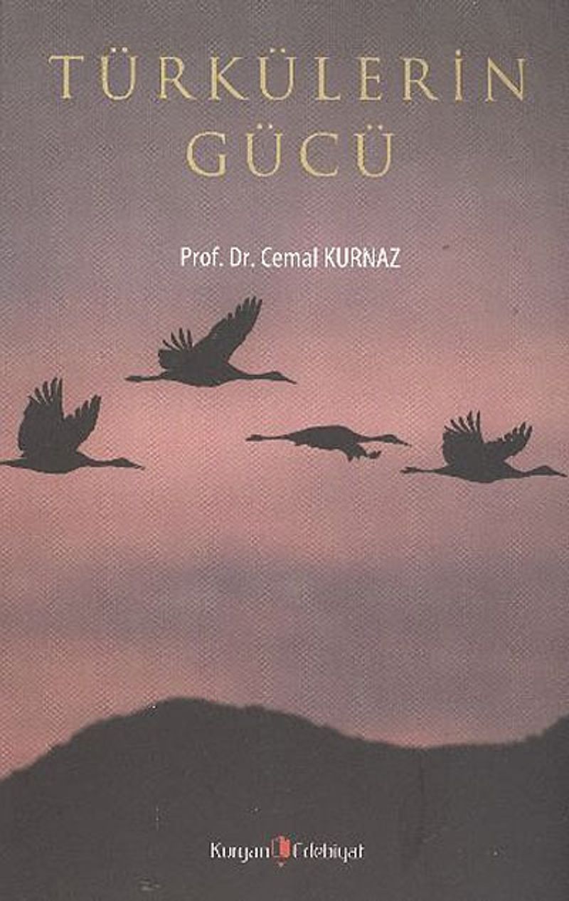Türkülerin Gücü kitap kapağı