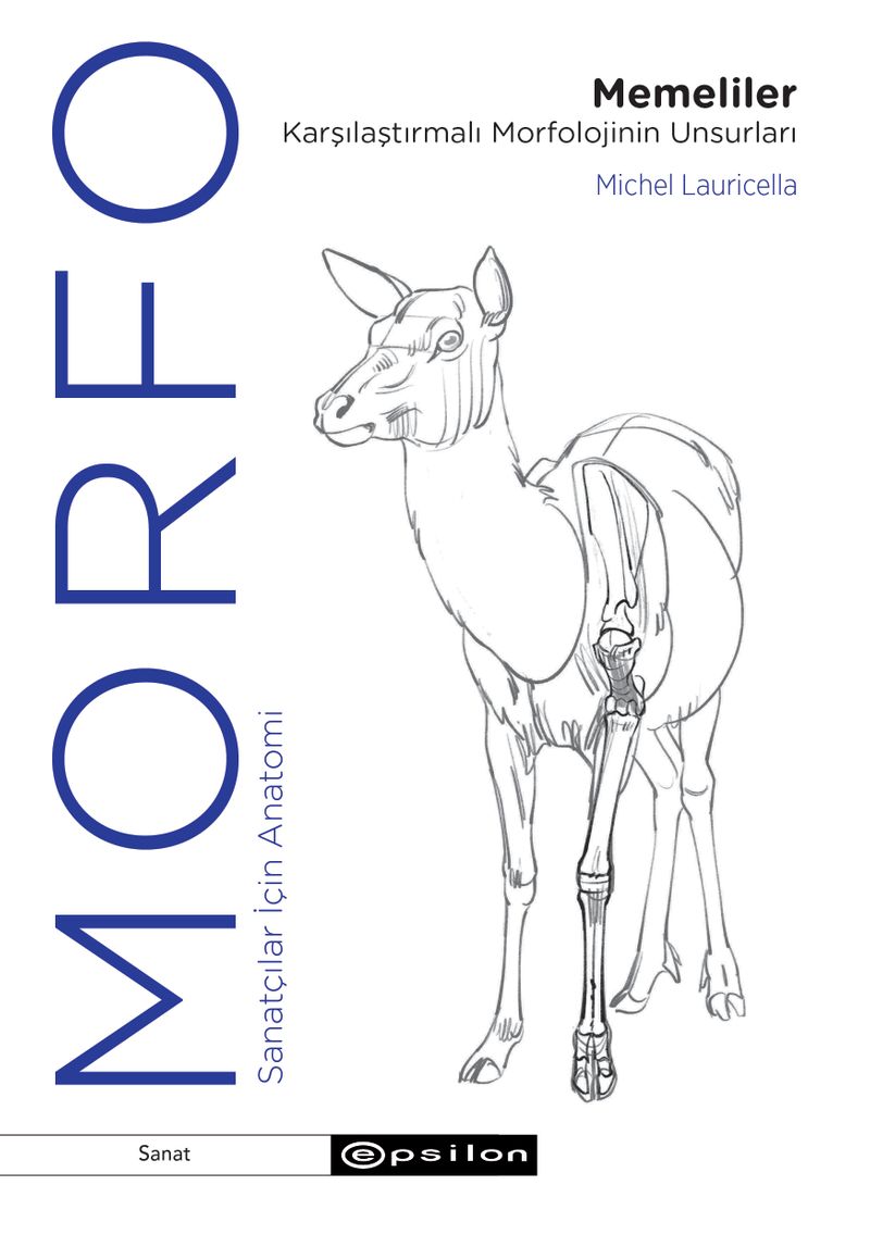 Morfo Memeliler Karşılaştırmalı Morfolojinin Unsurları kitap kapağı