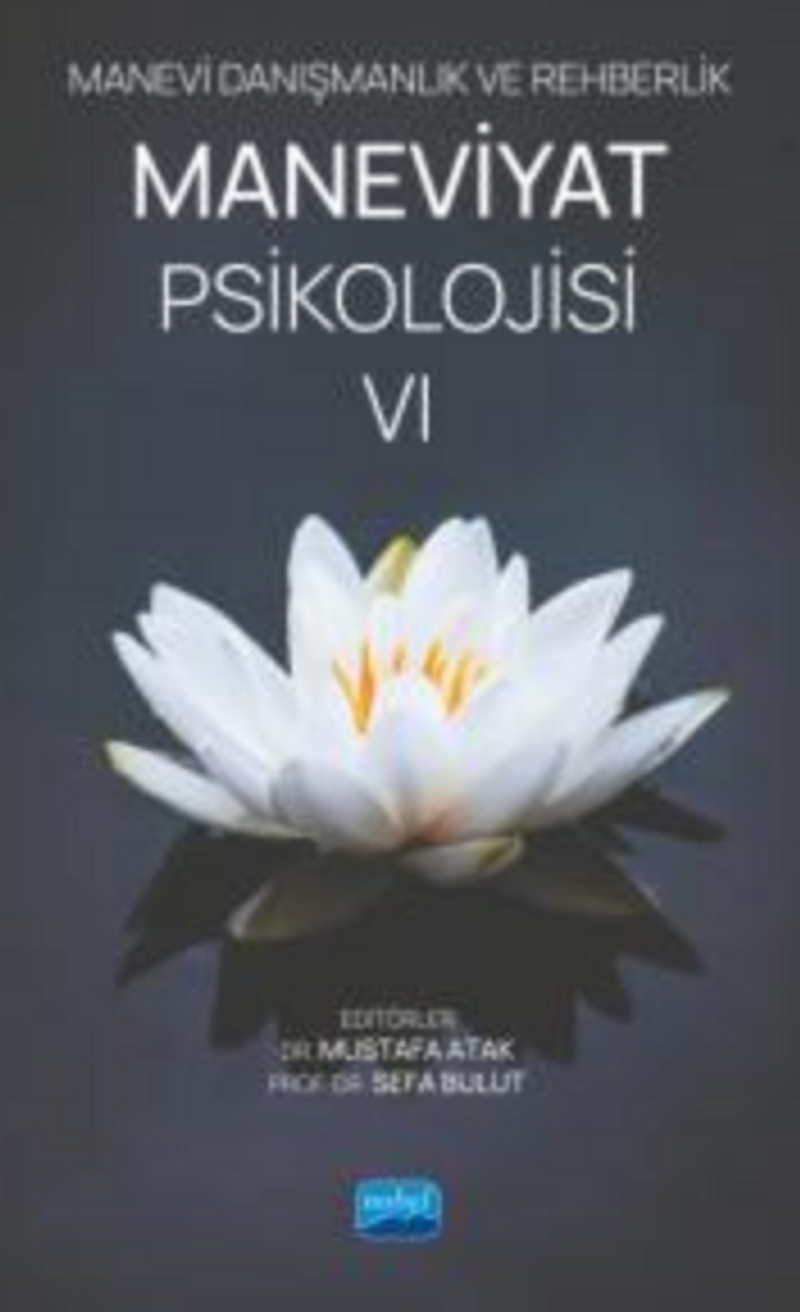 Manevi Danışmanlık ve Rehberlik Maneviyat Psikolojisi VI kitap kapağı