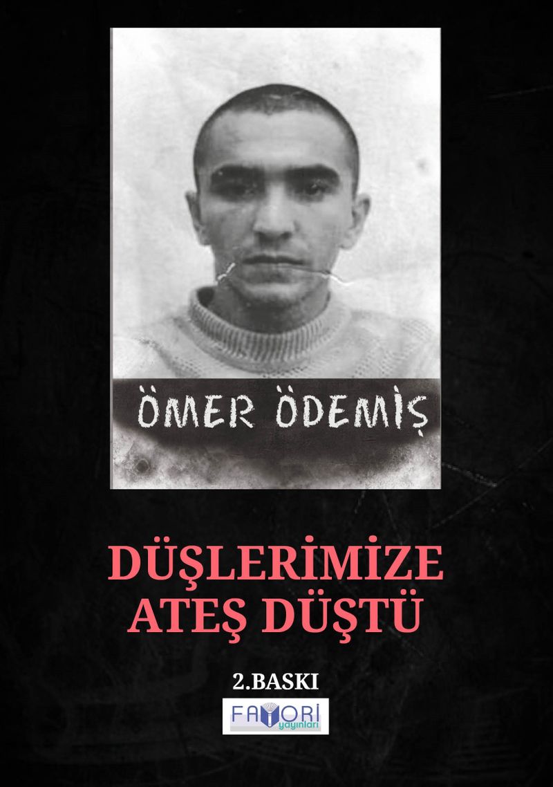 Düşlerimize Ateş Düştü kitap kapağı