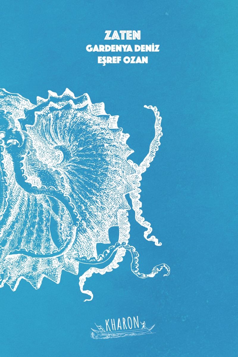 Zaten kitap kapağı