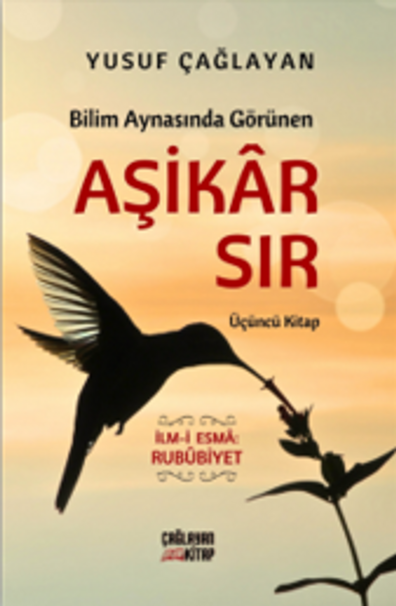 Bilim Aynasında Görünen Aşikar Sır (Üçüncü Kitap) kitap kapağı