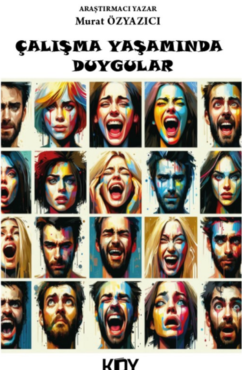 Çalışma Yaşamında Duygular kitap kapağı