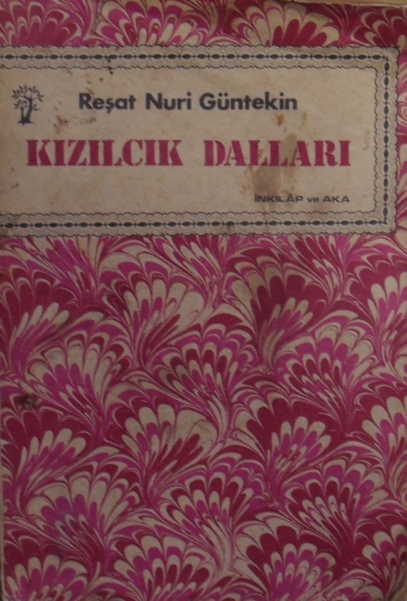 Kızılcık Dalları / 4-B-21 kitap kapağı
