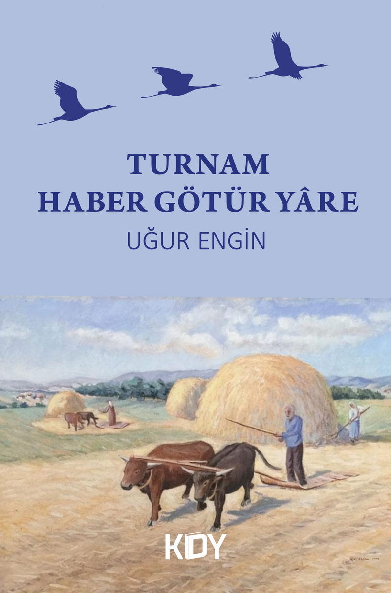 Turnam Haber Götür Yare kitap kapağı