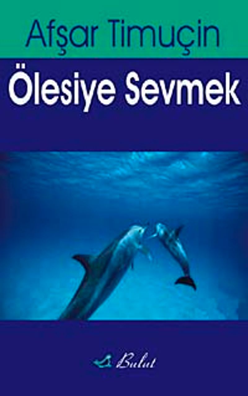 Ölesiye Sevmek kitap kapağı