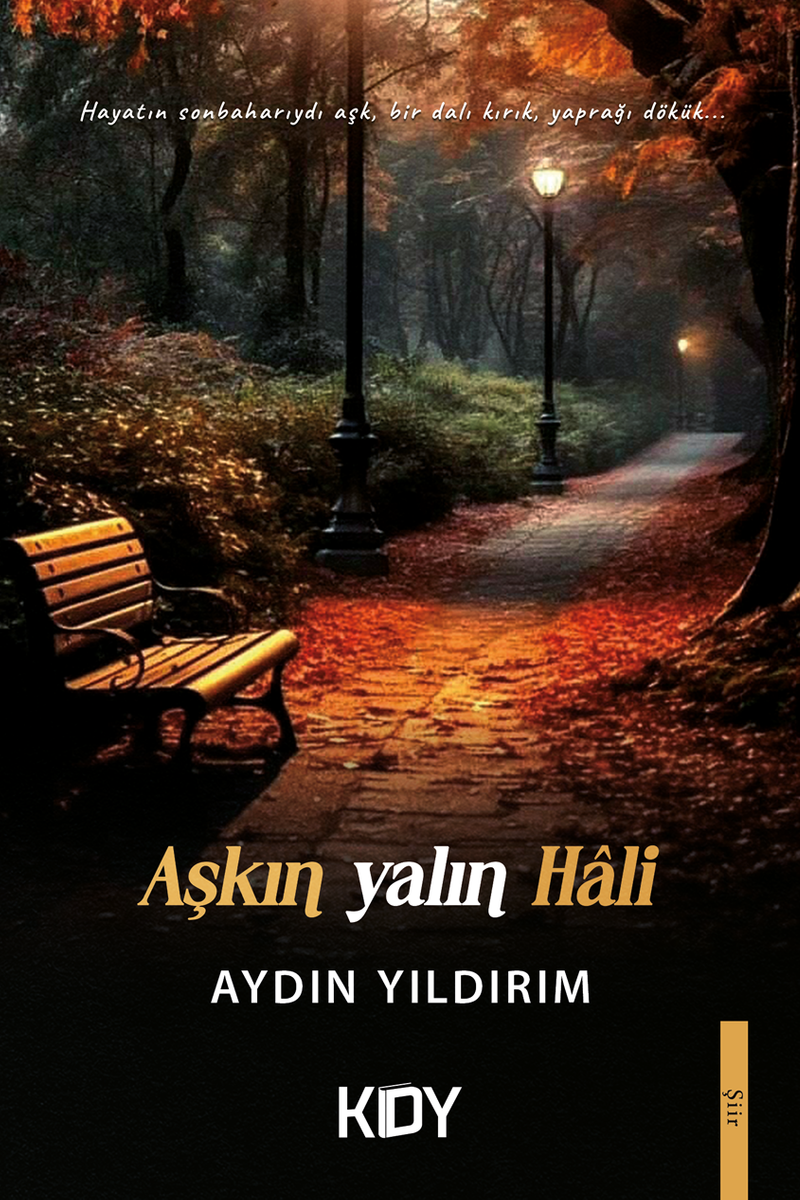 Aşkın Yalın Hali kitap kapağı