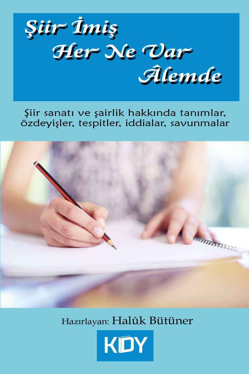 Şiir İmiş Her Ne Var Alemde kitap kapağı