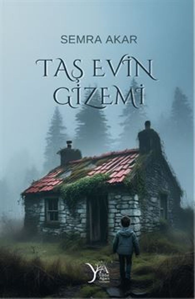 Taş Evin Gizemi kitap kapağı