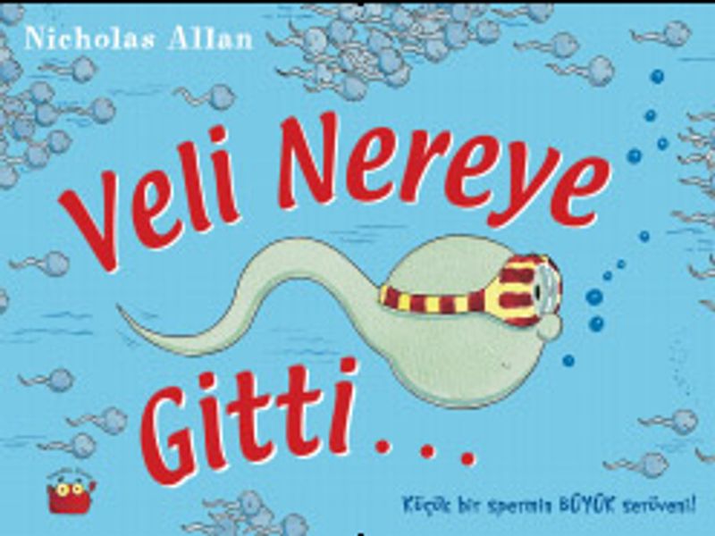 Veli Nereye Gitti... kitap kapağı