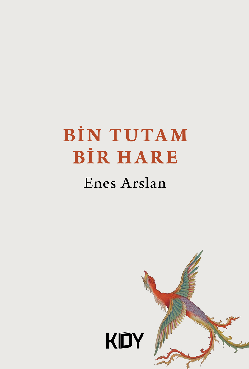 Bin Tutam Bir Hare kitap kapağı