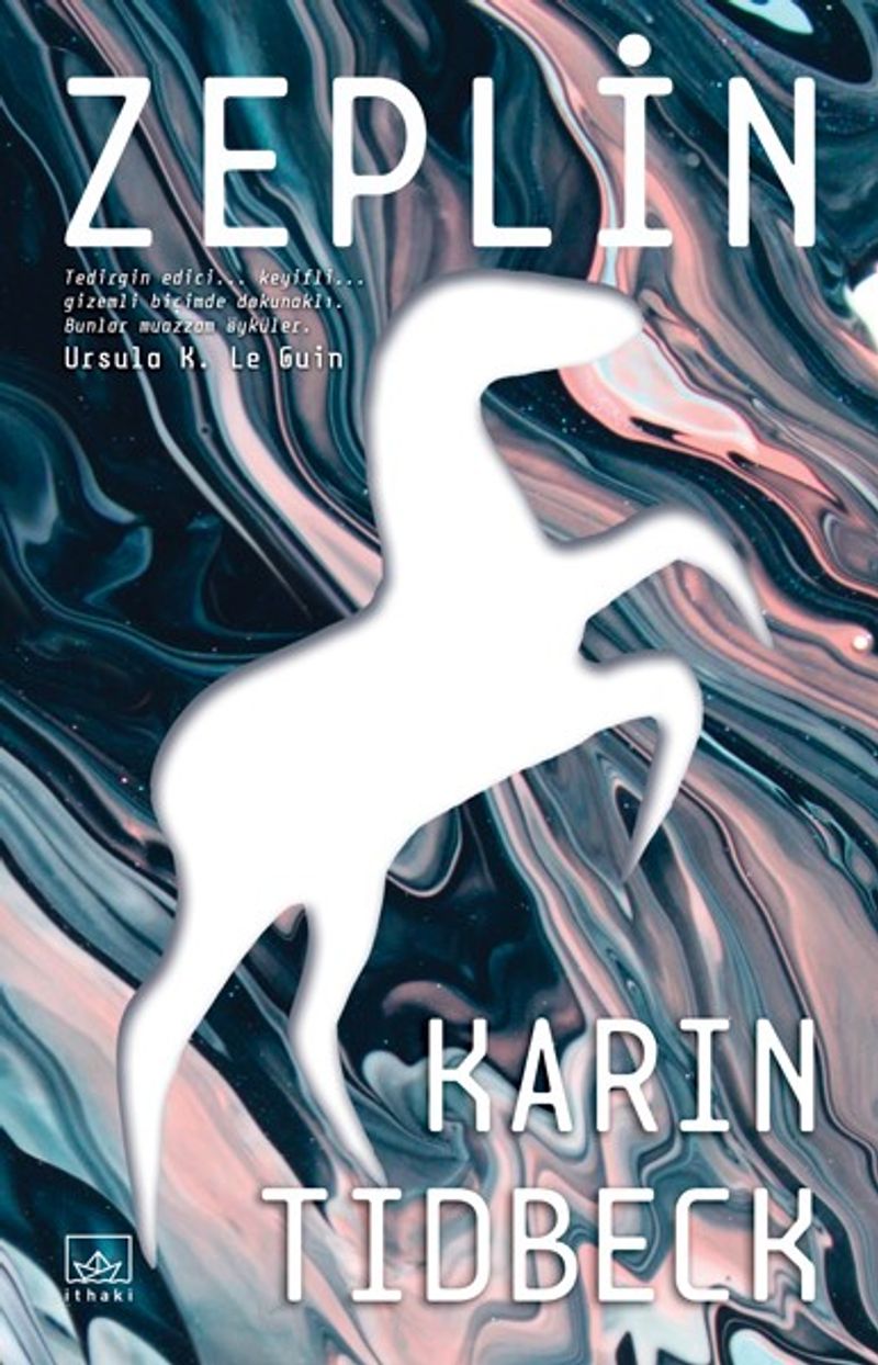 Zeplin kitap kapağı