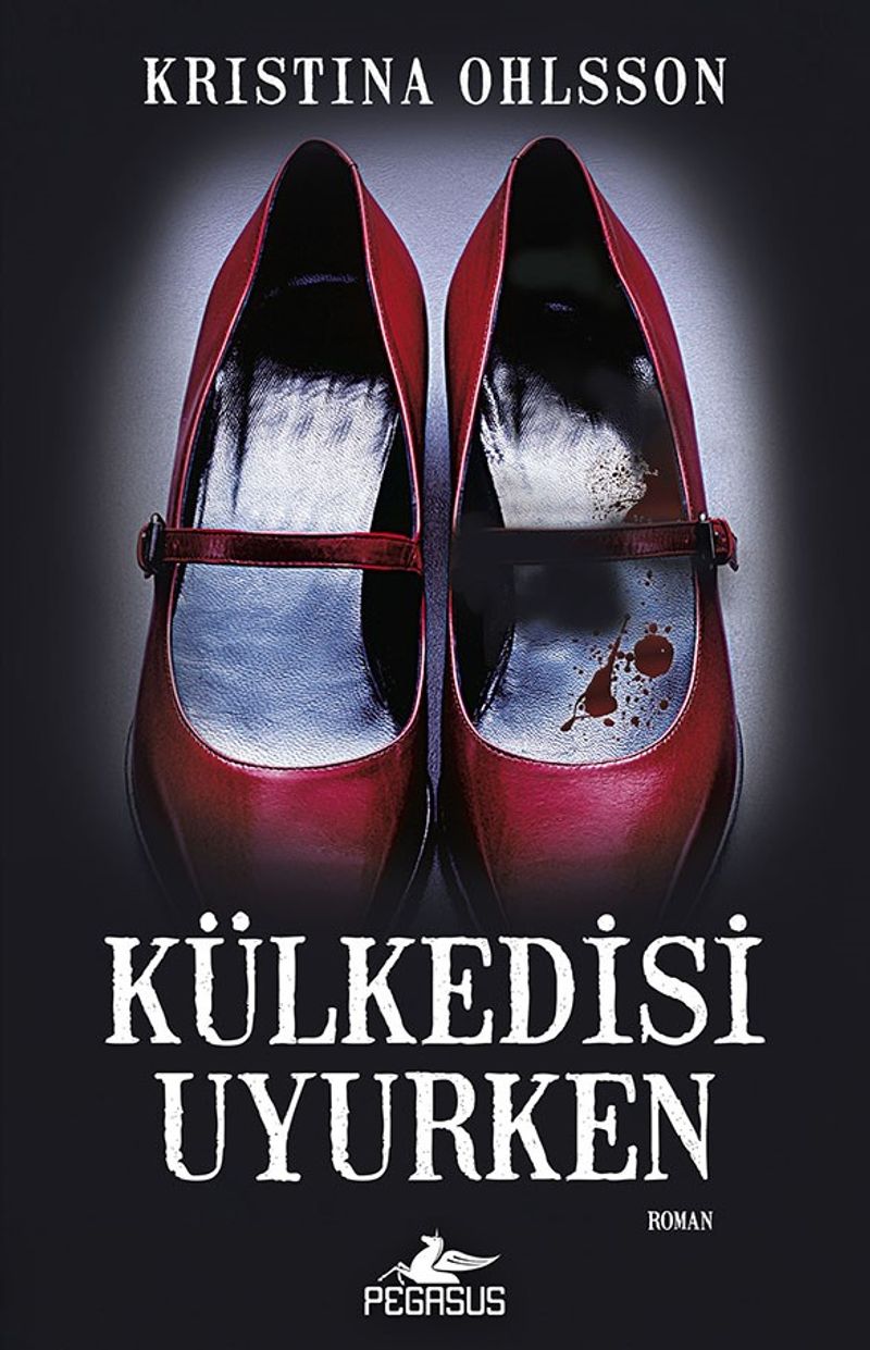 Külkedisi Uyurken kitap kapağı