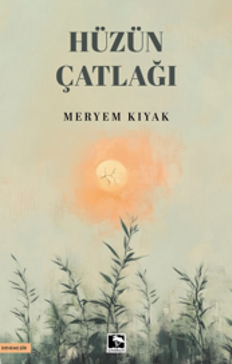 Hüzün Çatlağı kitap kapağı