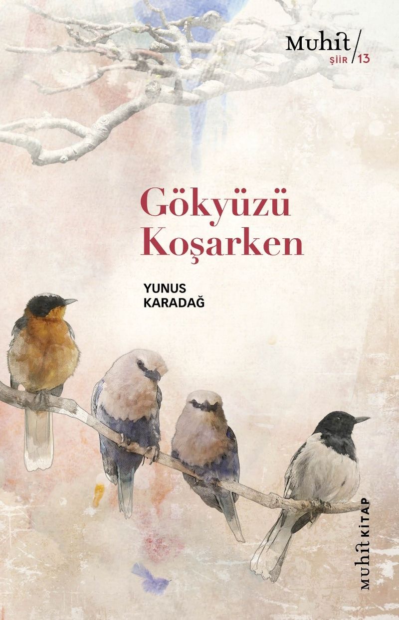 Gökyüzü Koşarken kitap kapağı