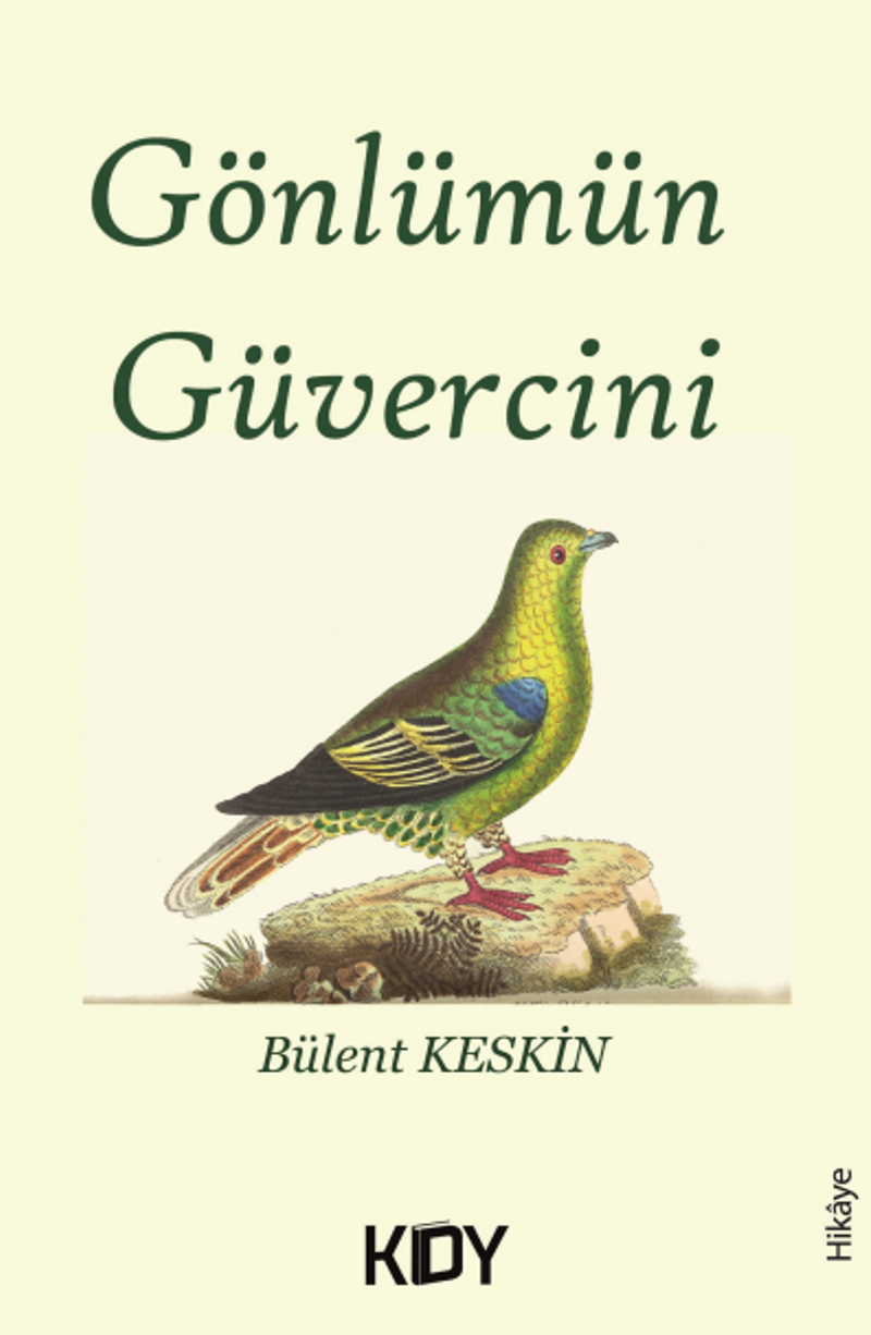 Gönlümün Güvercini kitap kapağı