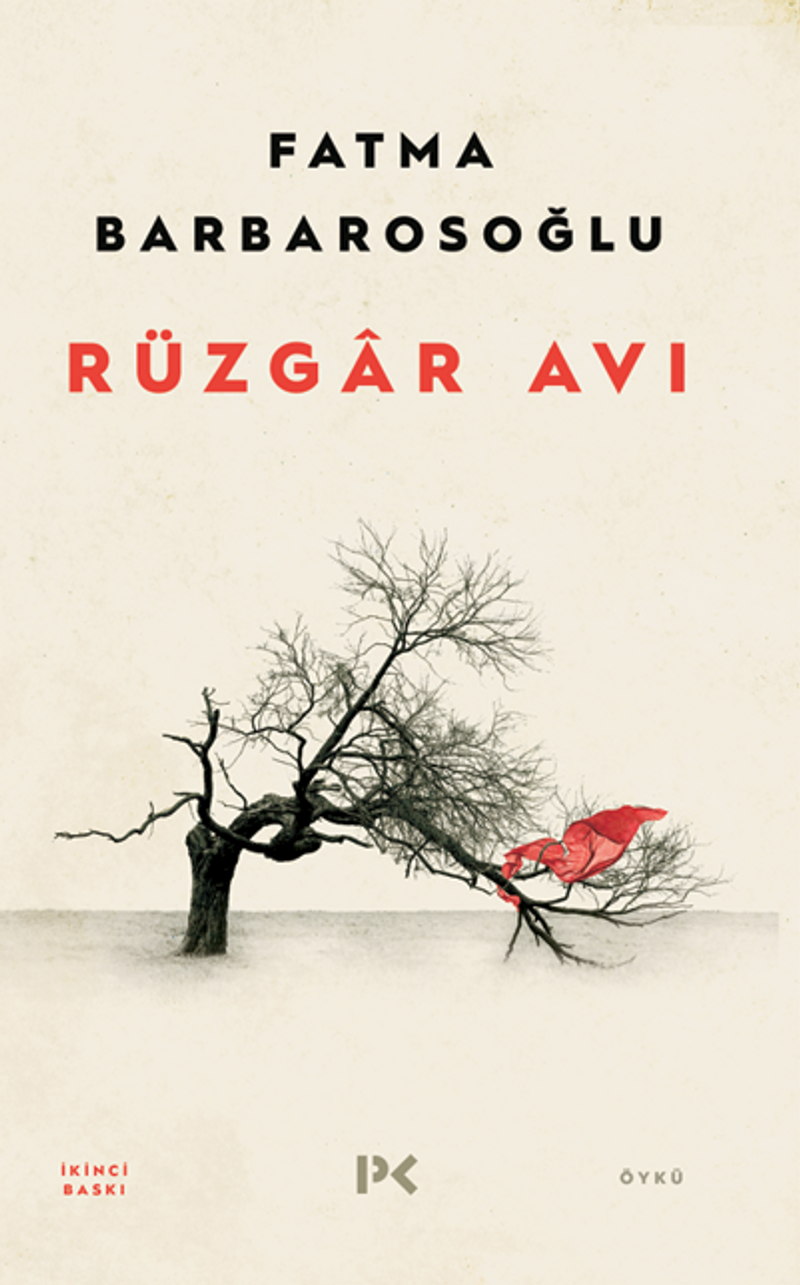 Rüzgar Avı kitap kapağı