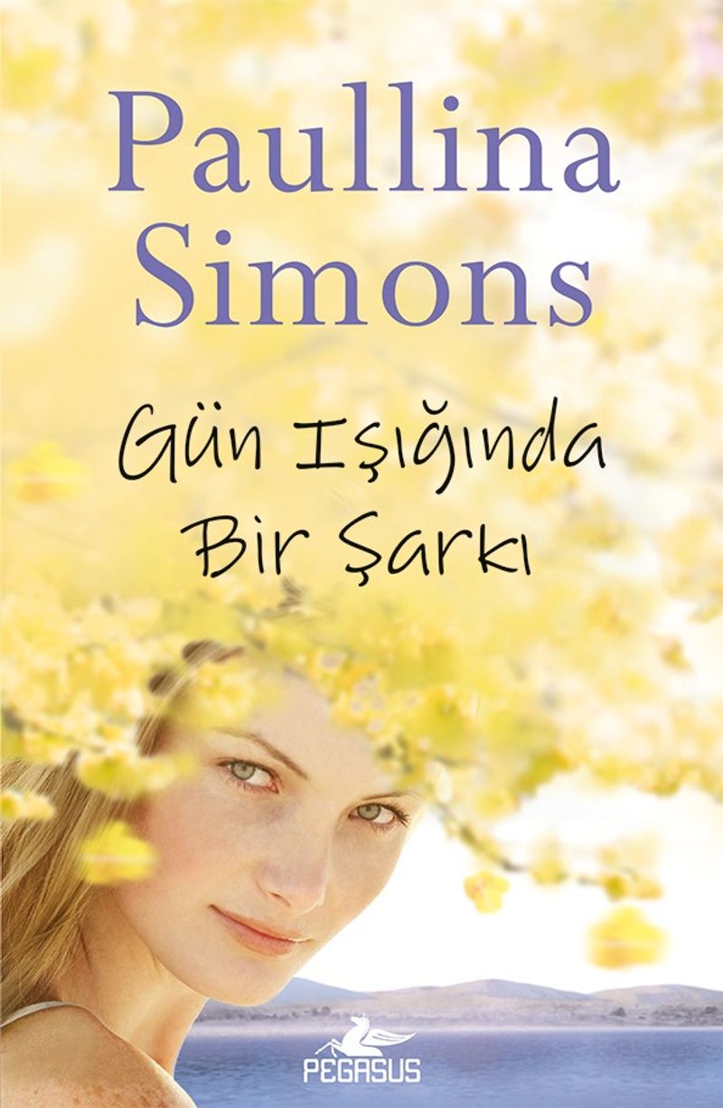 Gün Işığında Bir Şarkı kitap kapağı