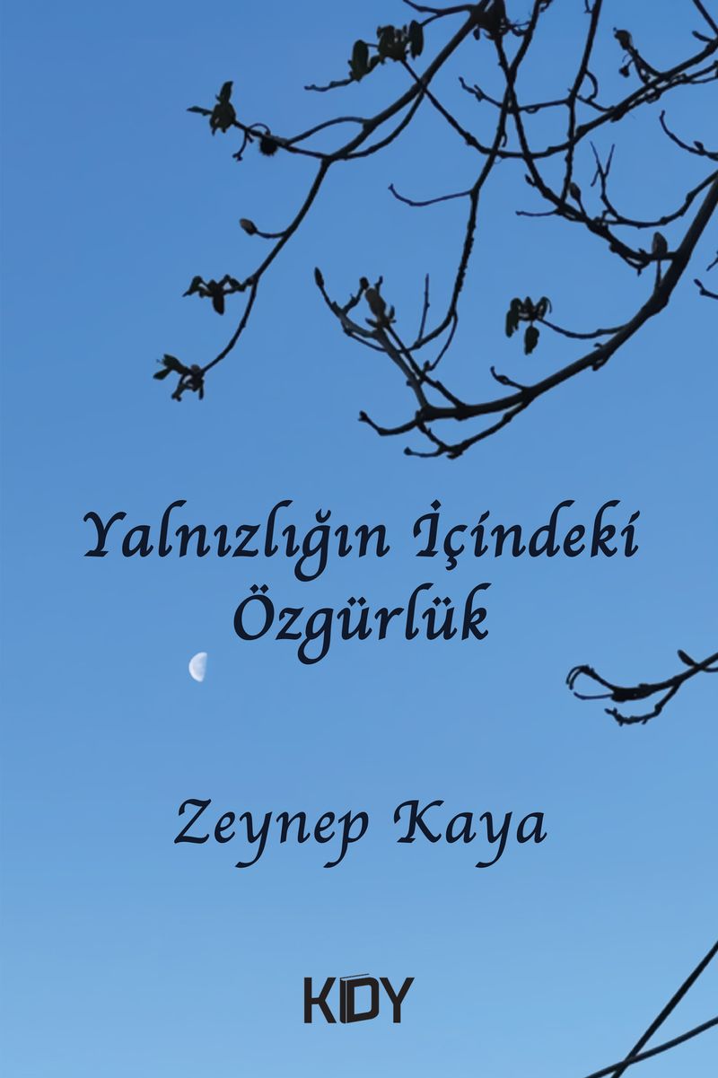 Yalnızlığın İçindeki Özgürlük kitap kapağı